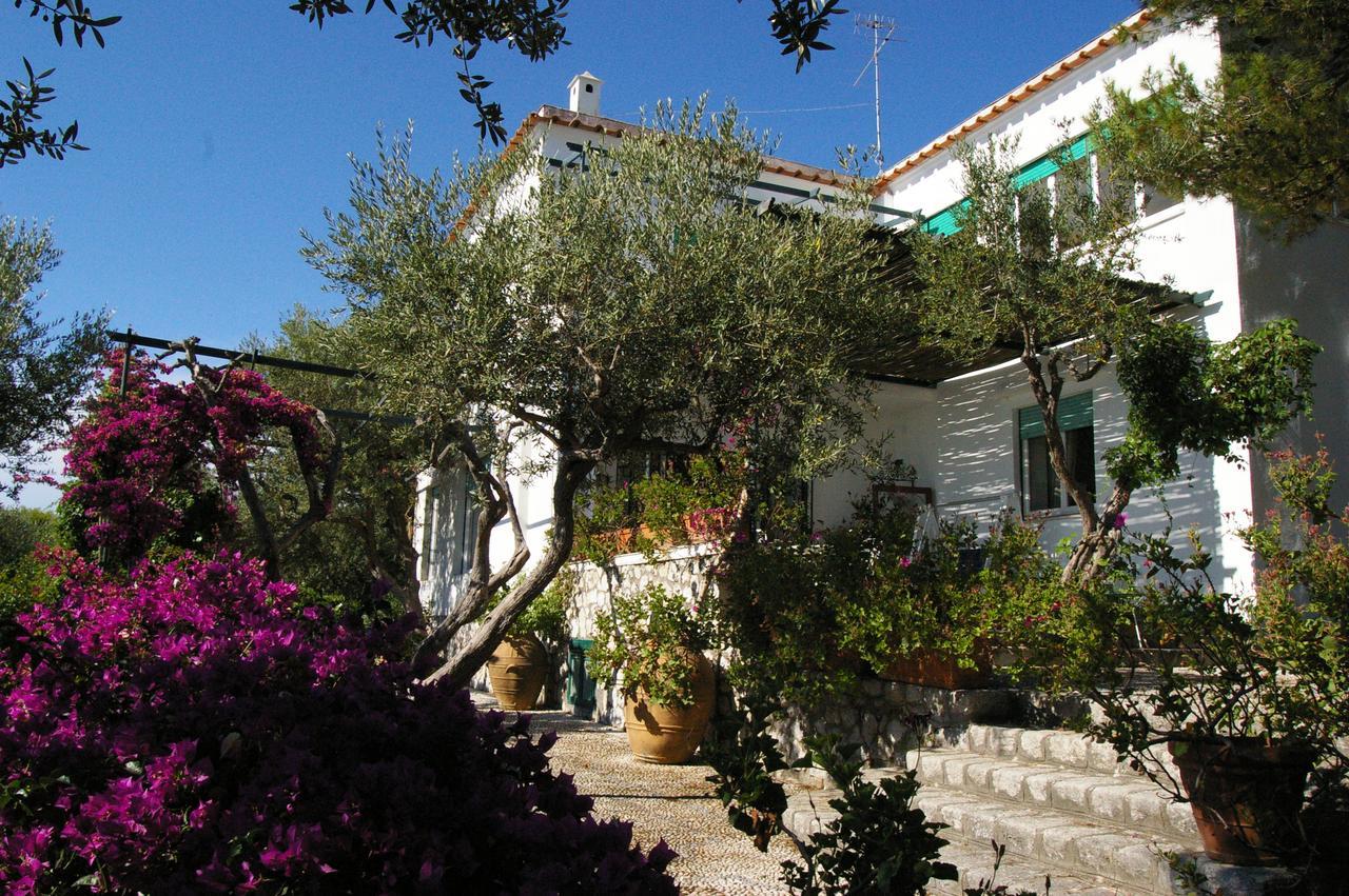 Il Rifugio B&B Capri Anacapri  Exteriér fotografie