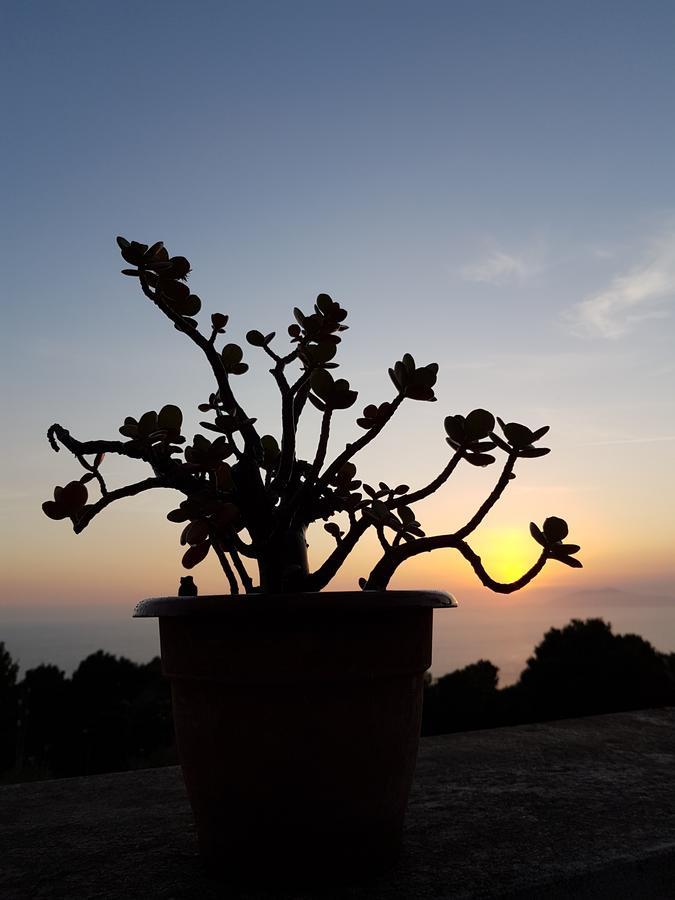 Il Rifugio B&B Capri Anacapri  Exteriér fotografie