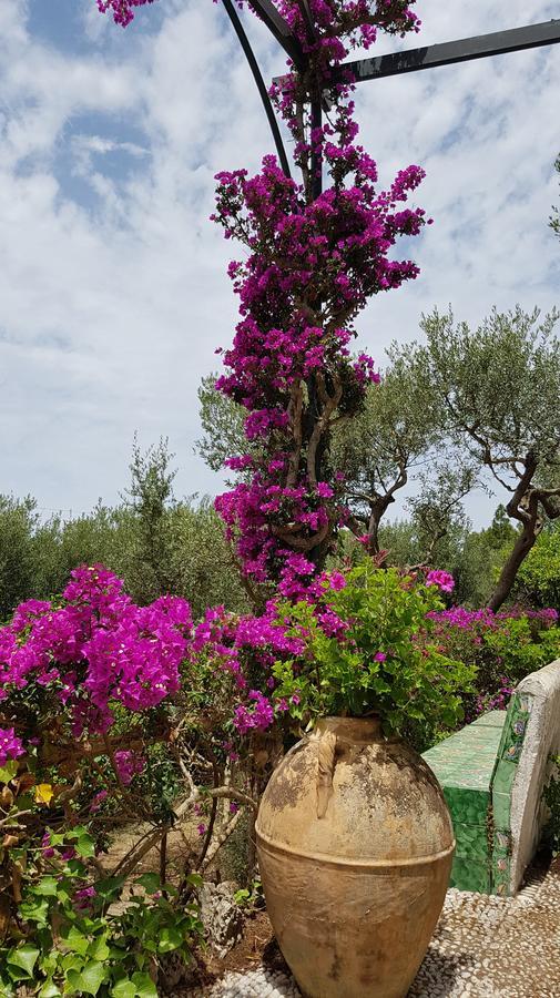 Il Rifugio B&B Capri Anacapri  Exteriér fotografie
