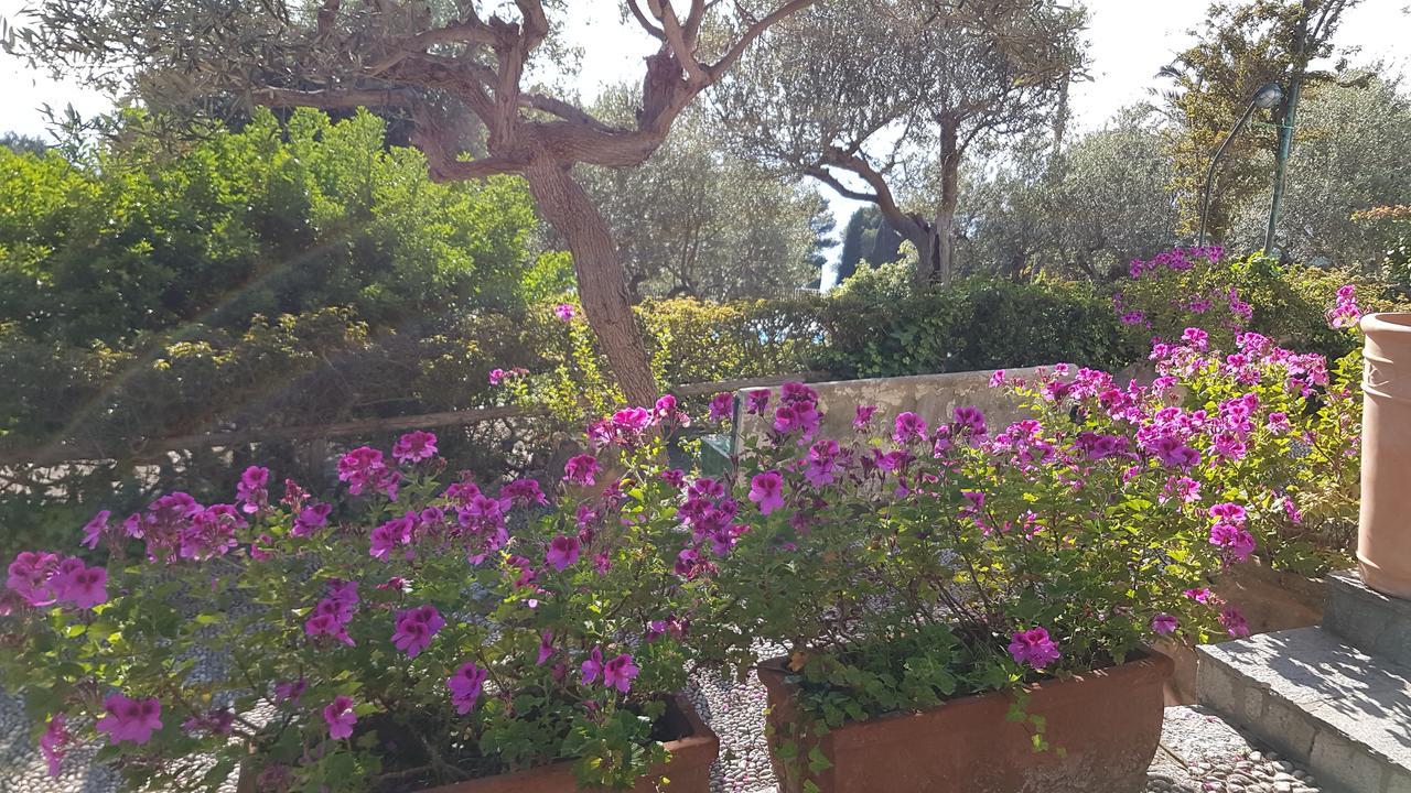 Il Rifugio B&B Capri Anacapri  Exteriér fotografie